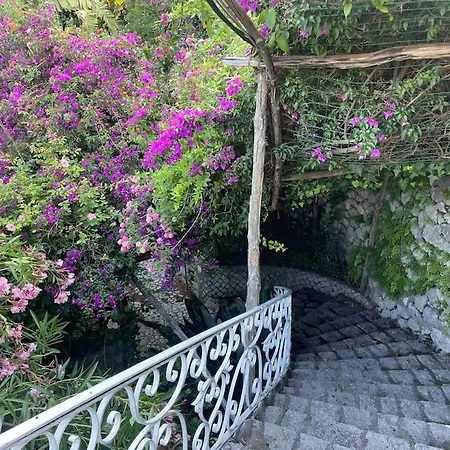 Capri Meravigliosa * Marina Grande (Capri)