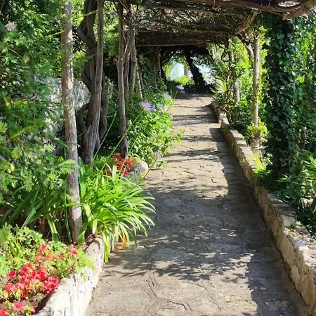 Capri Meravigliosa * Marina Grande (Capri)